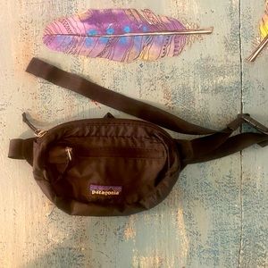 Patagonia Fanny pak